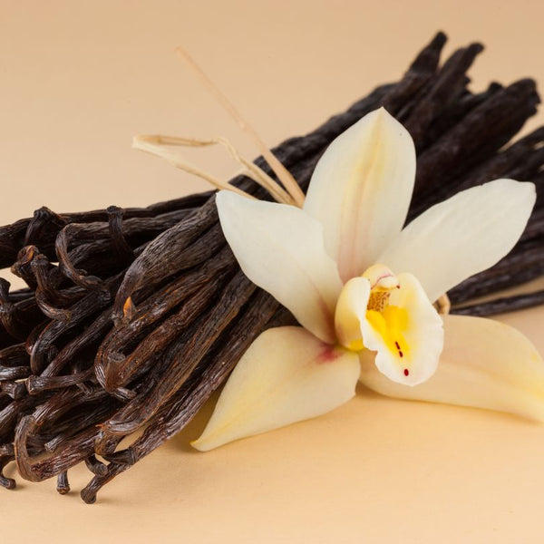 Vanilla absolute