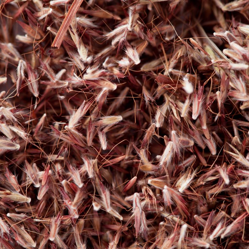 Palmarosa ingredient